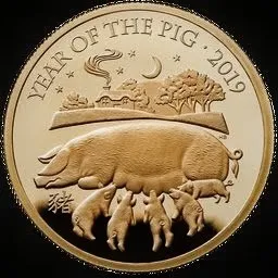 UK £100 gold coin reverse, Year of the Pig 2019